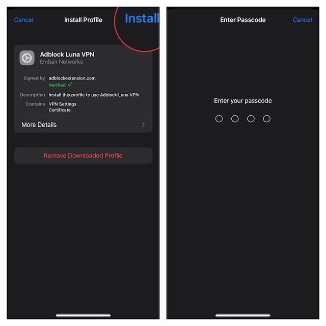 Adblock Luna ప్రొఫైల్ను ఇన్స్టాల్ చేస్తోంది